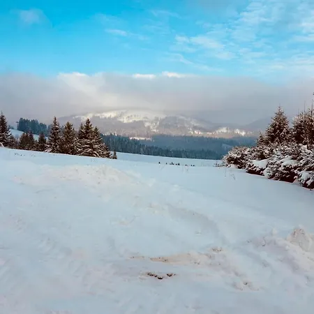 Olivia * Оравска-Лесна