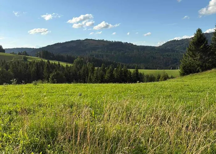 Olivia * Oravská Lesná