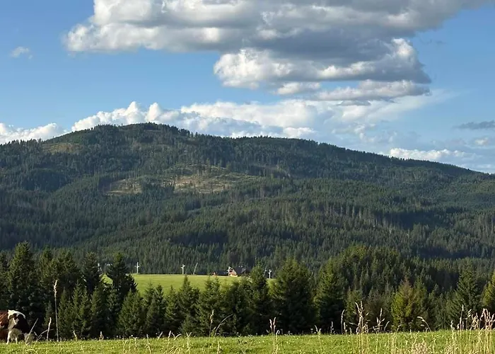 Olívia