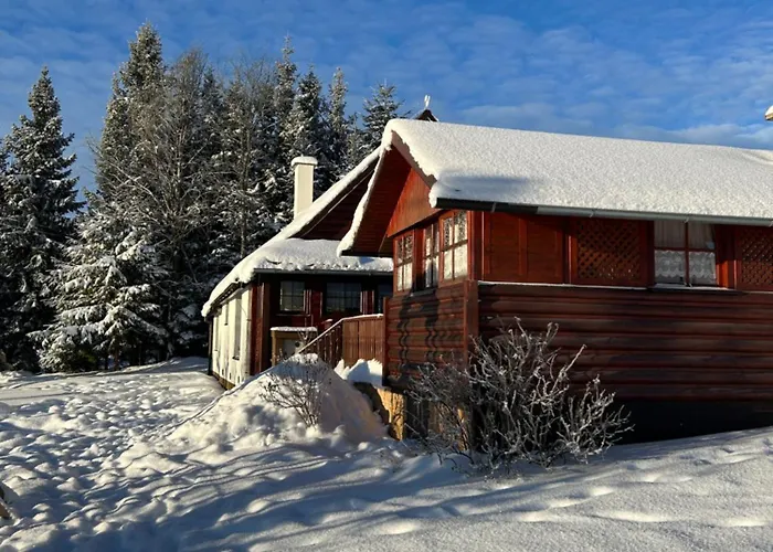 Olívia Chalet Oravská Lesná