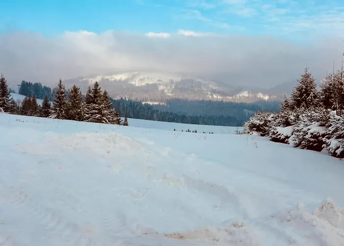 Olivia * Oravská Lesná